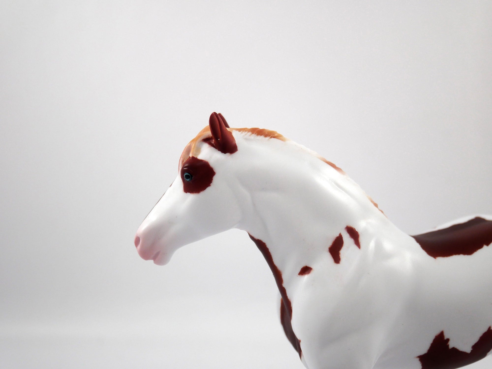 Peyton-OOAK Chestnut Pinto Trotting Draft Pebbles SB21