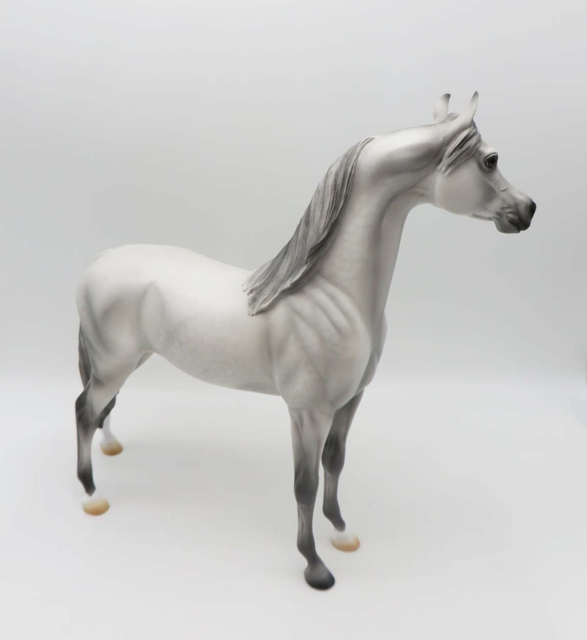 Phantom Pain- OOAK - Dappled Light Grey Arabian By Ashley Palmer - SHCF23