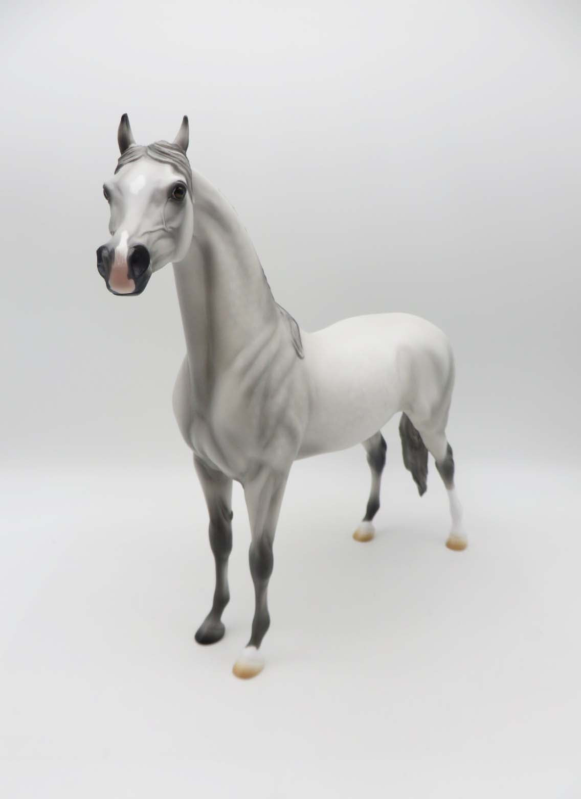 Phantom Pain- OOAK - Dappled Light Grey Arabian By Ashley Palmer - SHCF23