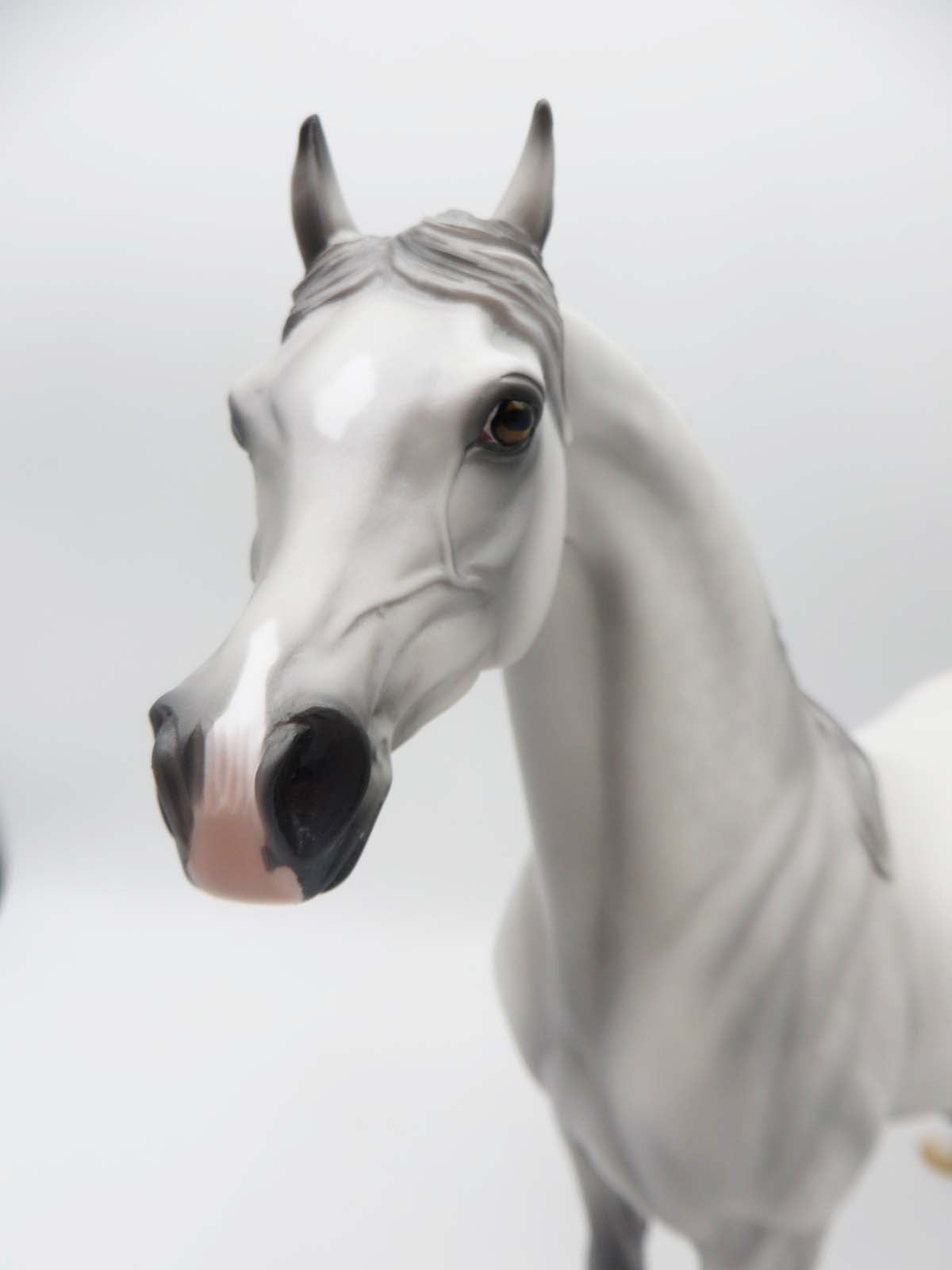 Phantom Pain- OOAK - Dappled Light Grey Arabian By Ashley Palmer - SHCF23