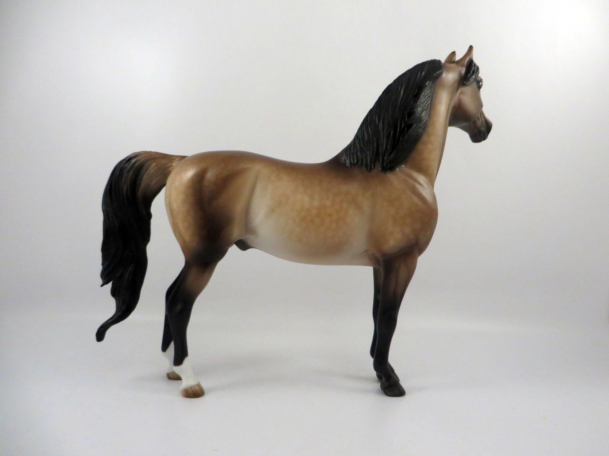 Phylange-OOAK Dapple Buckskin Morgan Painted by Sheryl Leisure 3/5/21