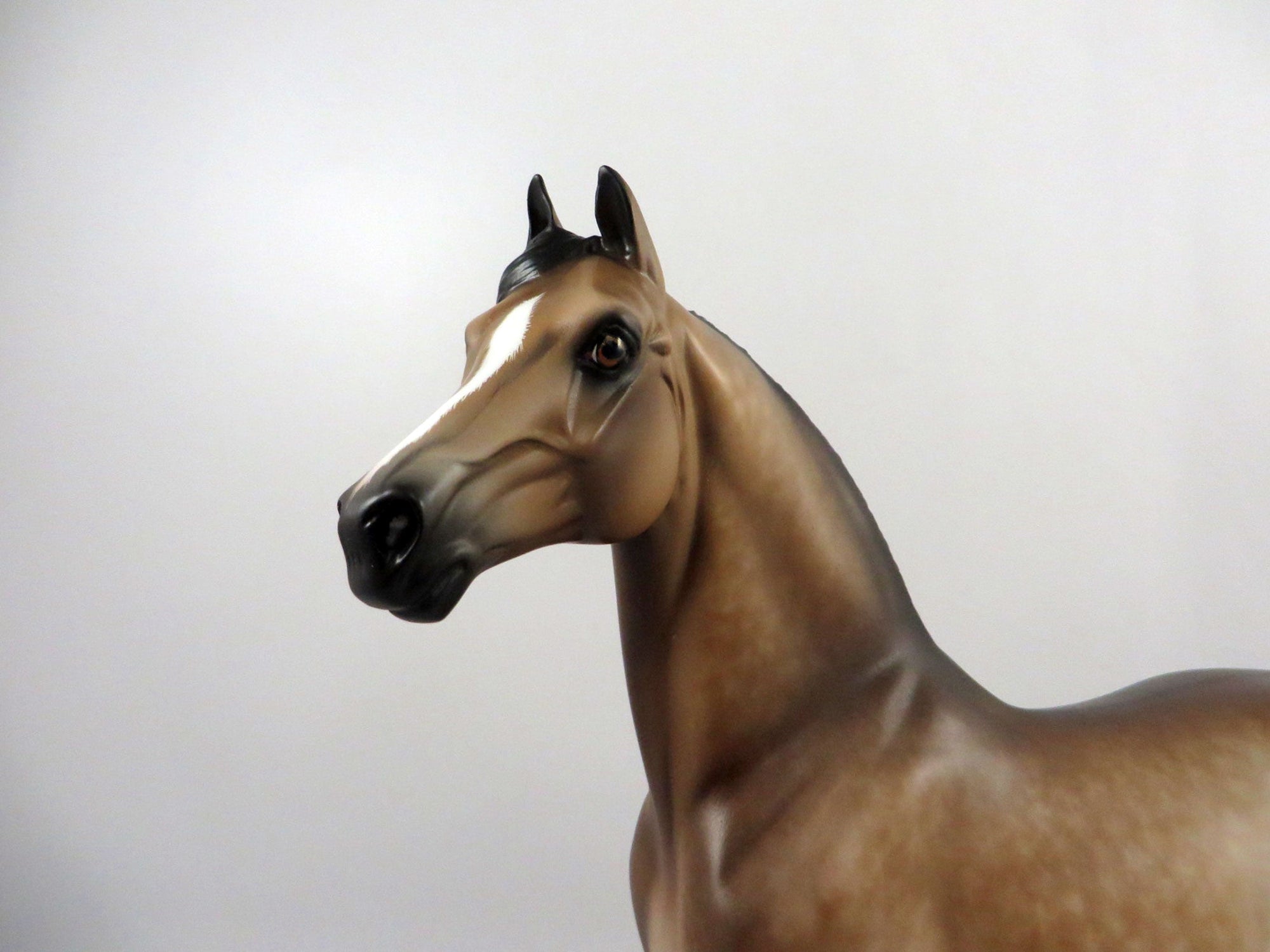 Phylange-OOAK Dapple Buckskin Morgan Painted by Sheryl Leisure 3/5/21