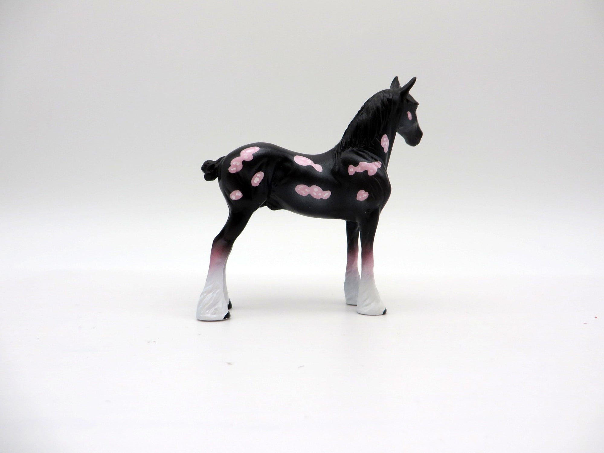 Phyllidrella-OOAK Deco Draft Chip Shark Week 7/12/21