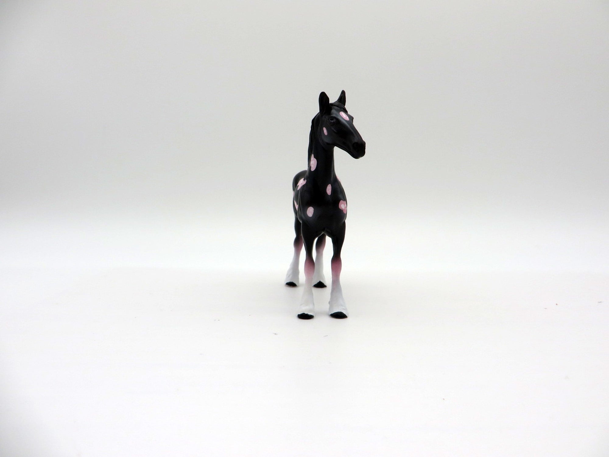 Phyllidrella-OOAK Deco Draft Chip Shark Week 7/12/21