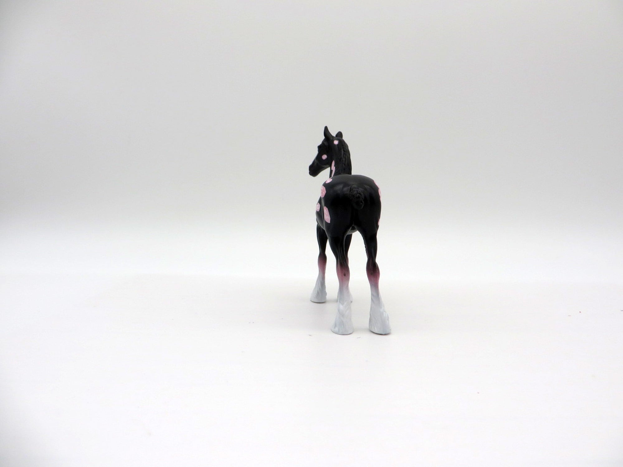 Phyllidrella-OOAK Deco Draft Chip Shark Week 7/12/21