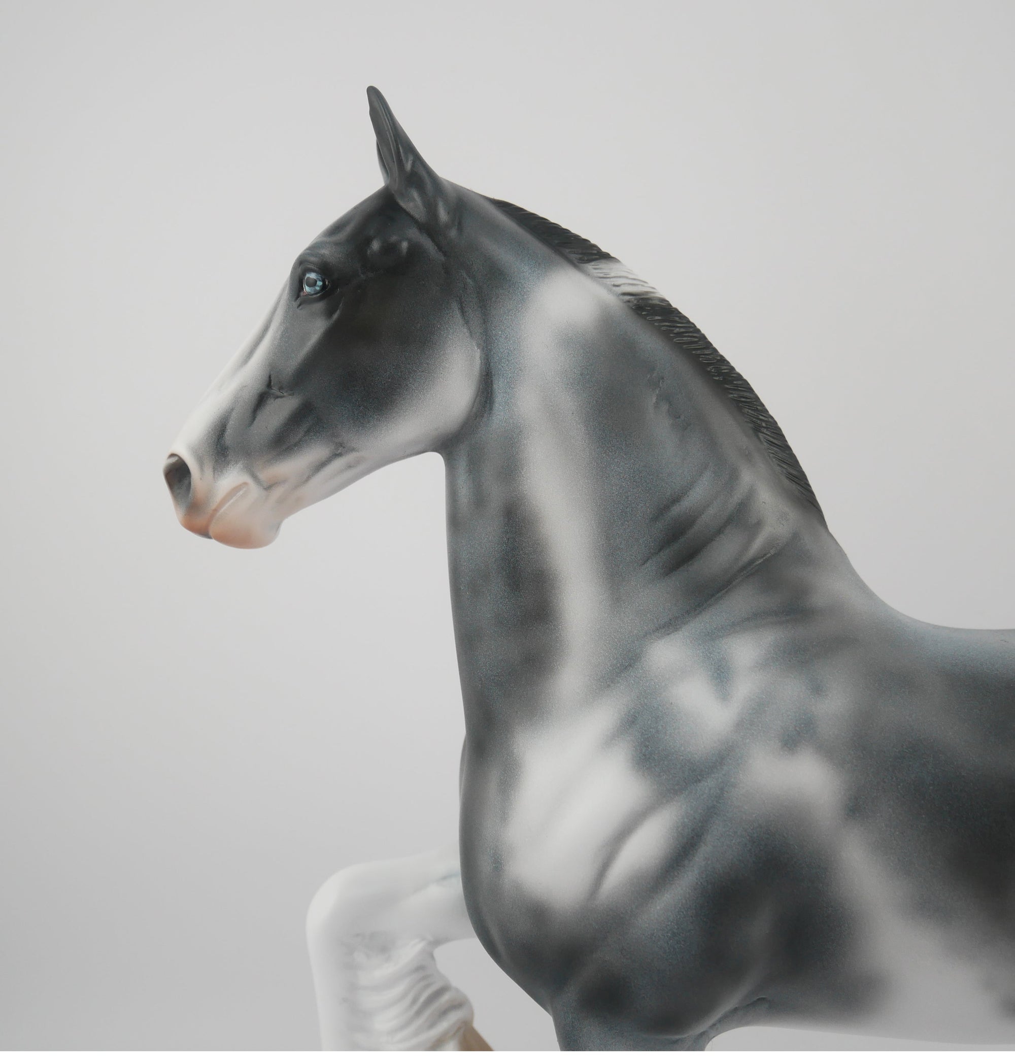 Picasso-LE-25 Trotting Drafter Equilocity 2020