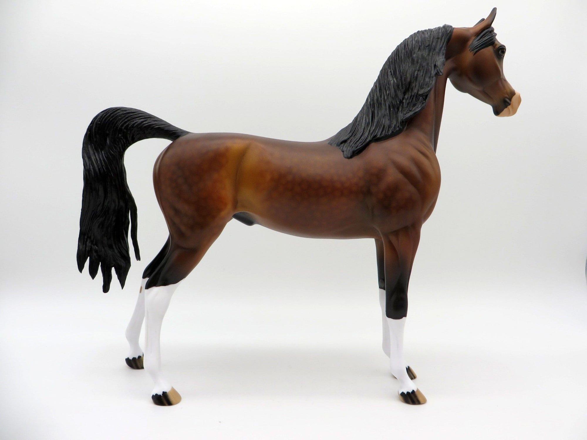 Pierre-OOAK Dapple Bay Arabian  Equilocity 2021 Painted by Audrey Dixon