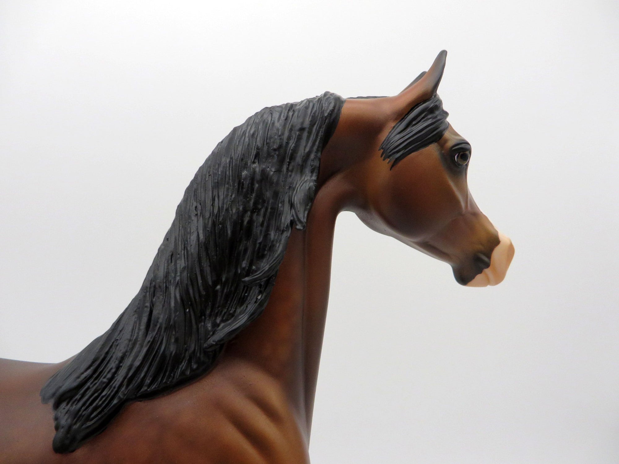 Pierre-OOAK Dapple Bay Arabian  Equilocity 2021 Painted by Audrey Dixon