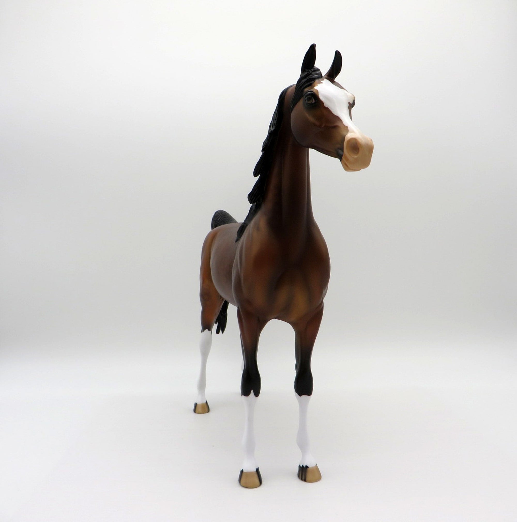 Pierre-OOAK Dapple Bay Arabian  Equilocity 2021 Painted by Audrey Dixon