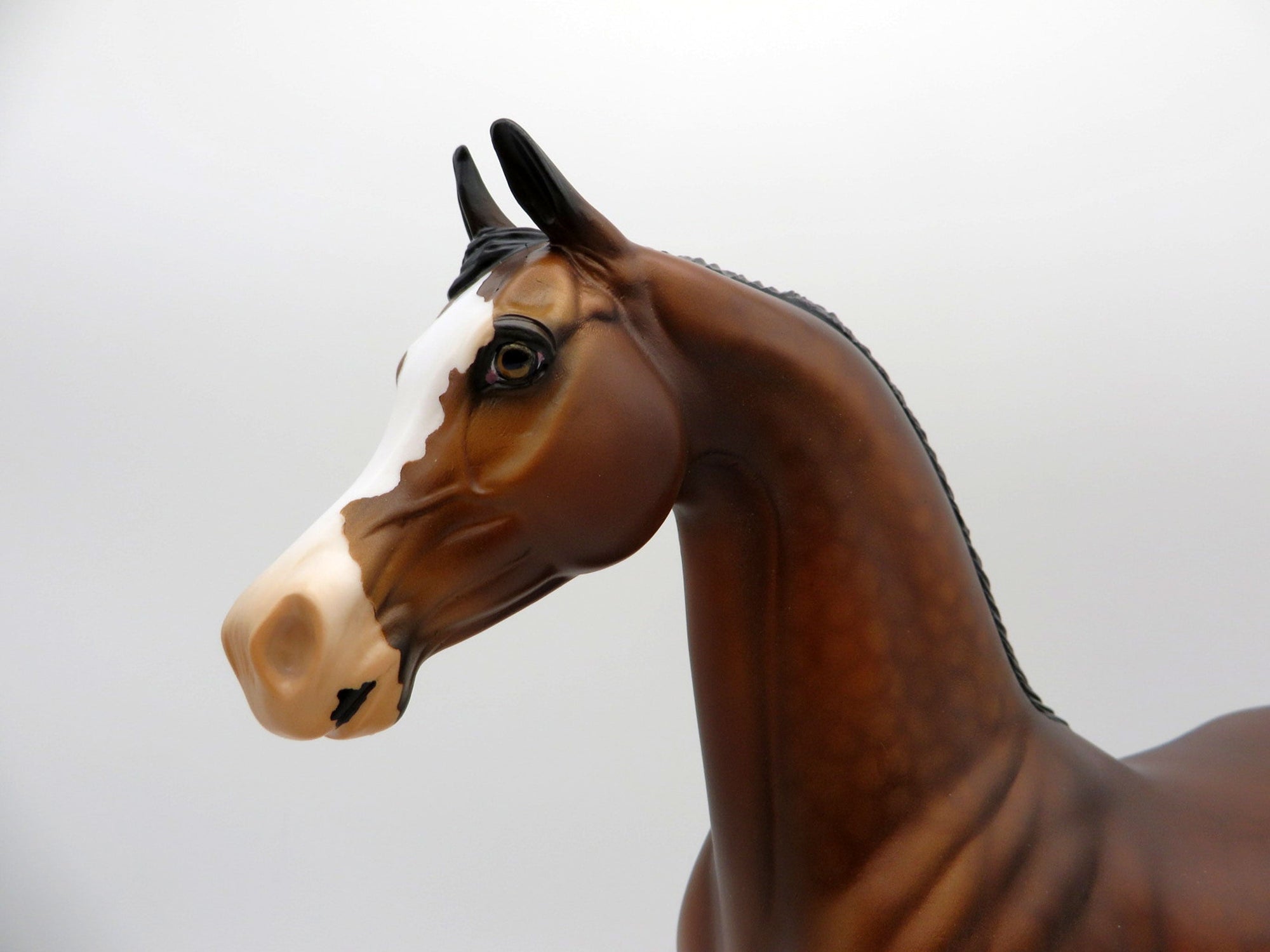 Pierre-OOAK Dapple Bay Arabian  Equilocity 2021 Painted by Audrey Dixon