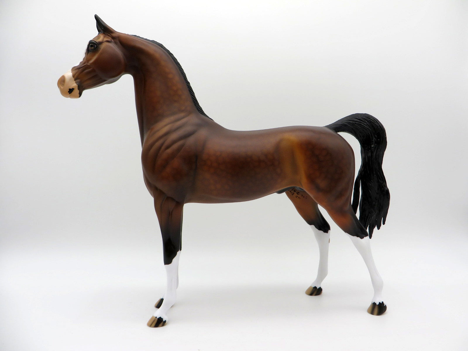 Pierre-OOAK Dapple Bay Arabian  Equilocity 2021 Painted by Audrey Dixon