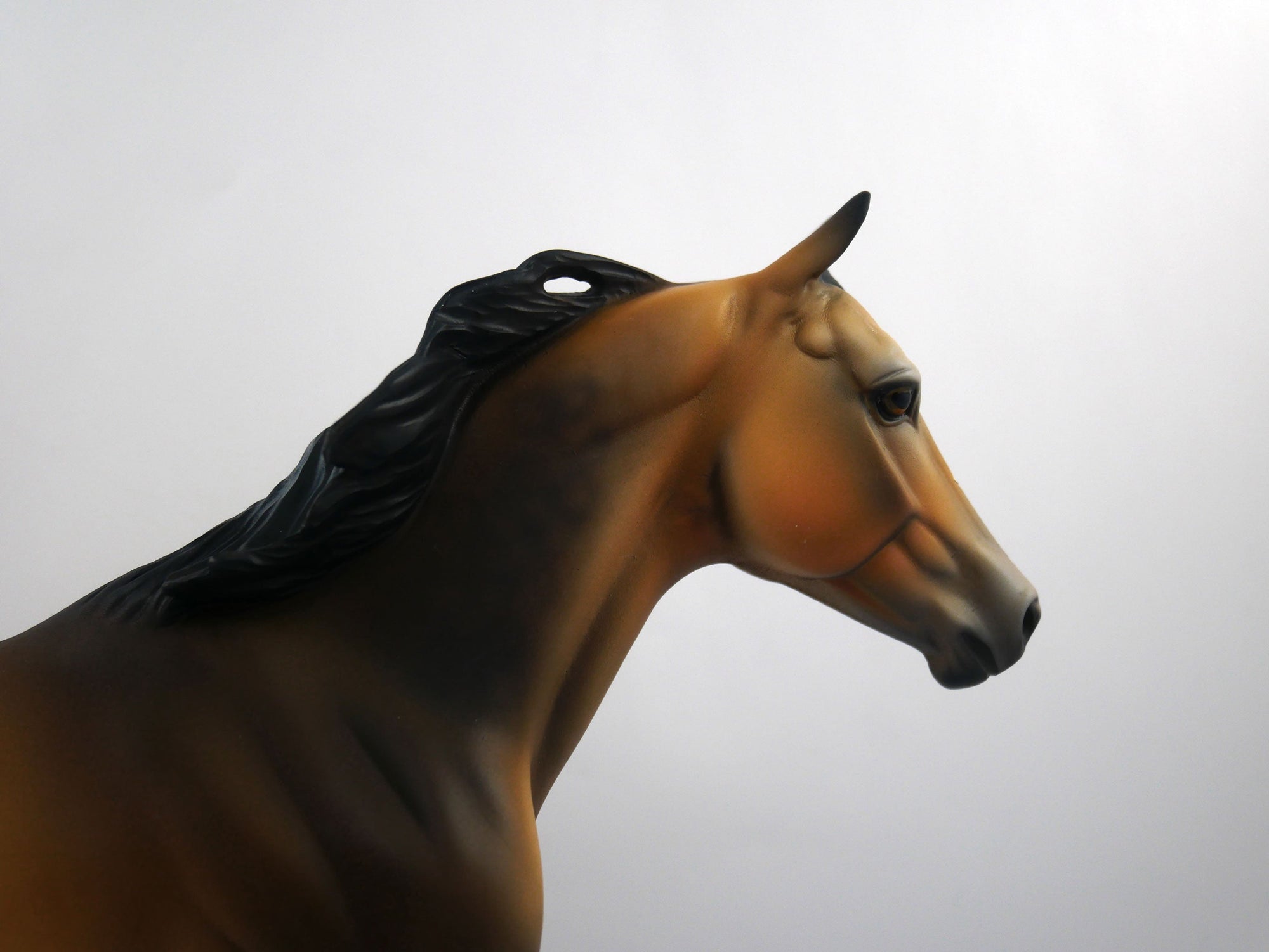 Pigskin-OOAK Buckskin Running Quarter Horse SB 21