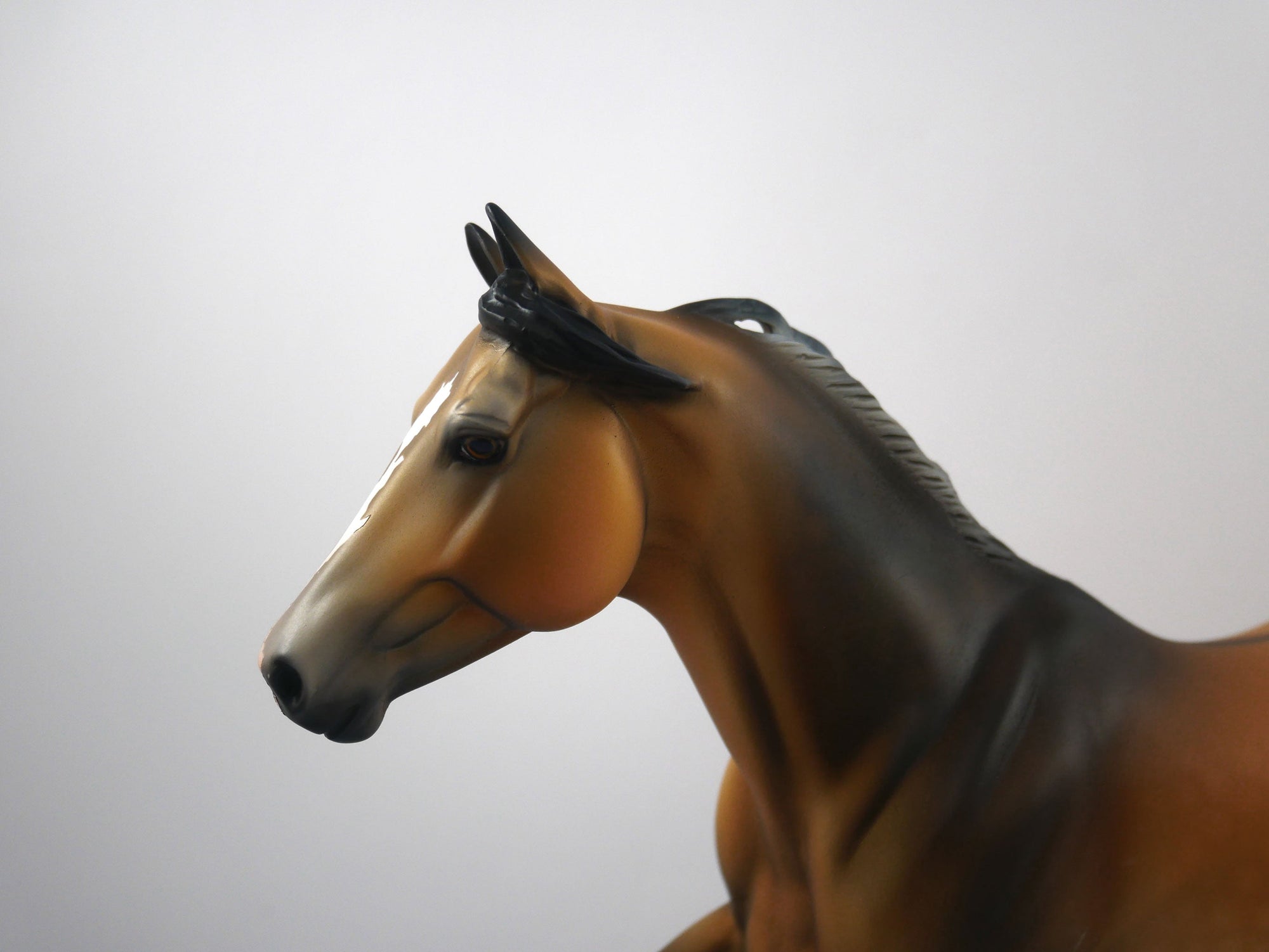 Pigskin-OOAK Buckskin Running Quarter Horse SB 21