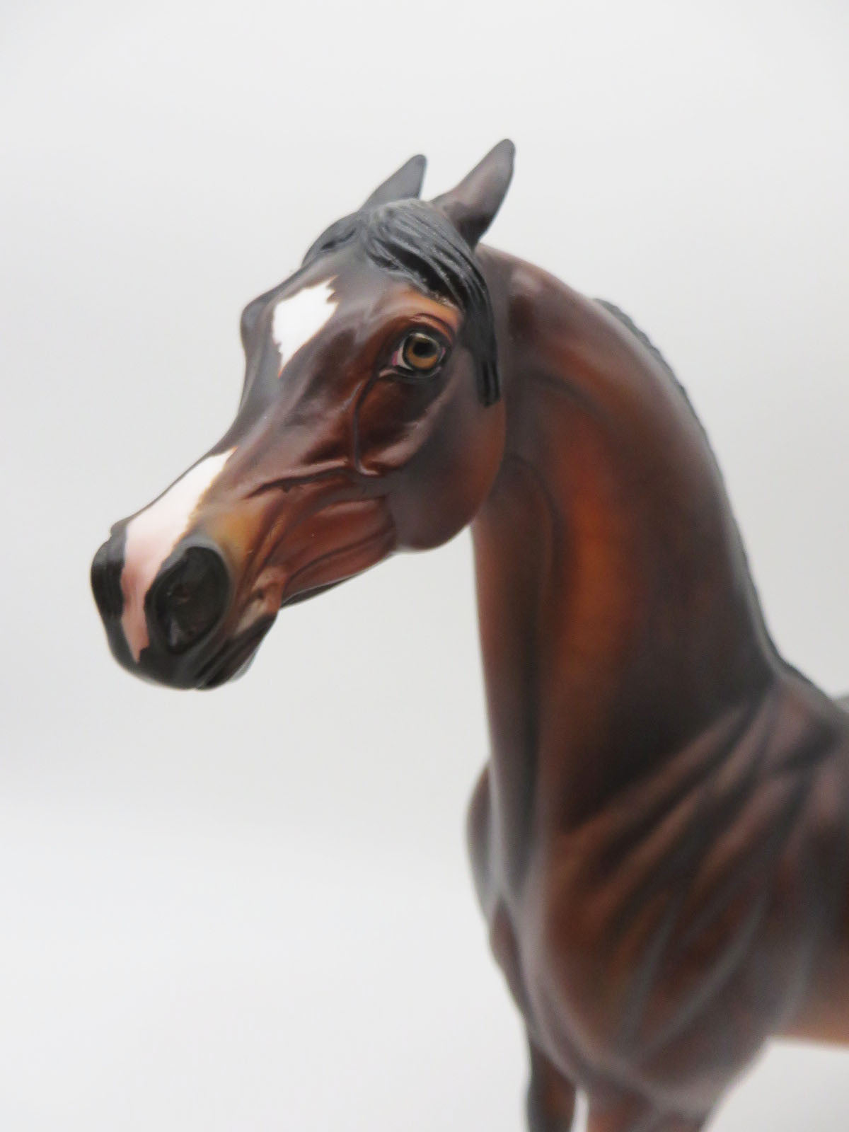Pip - LE 30 - Dapple Bay Custom Arabian By Julie Keim - Classic Literature Series 2023 - CL23