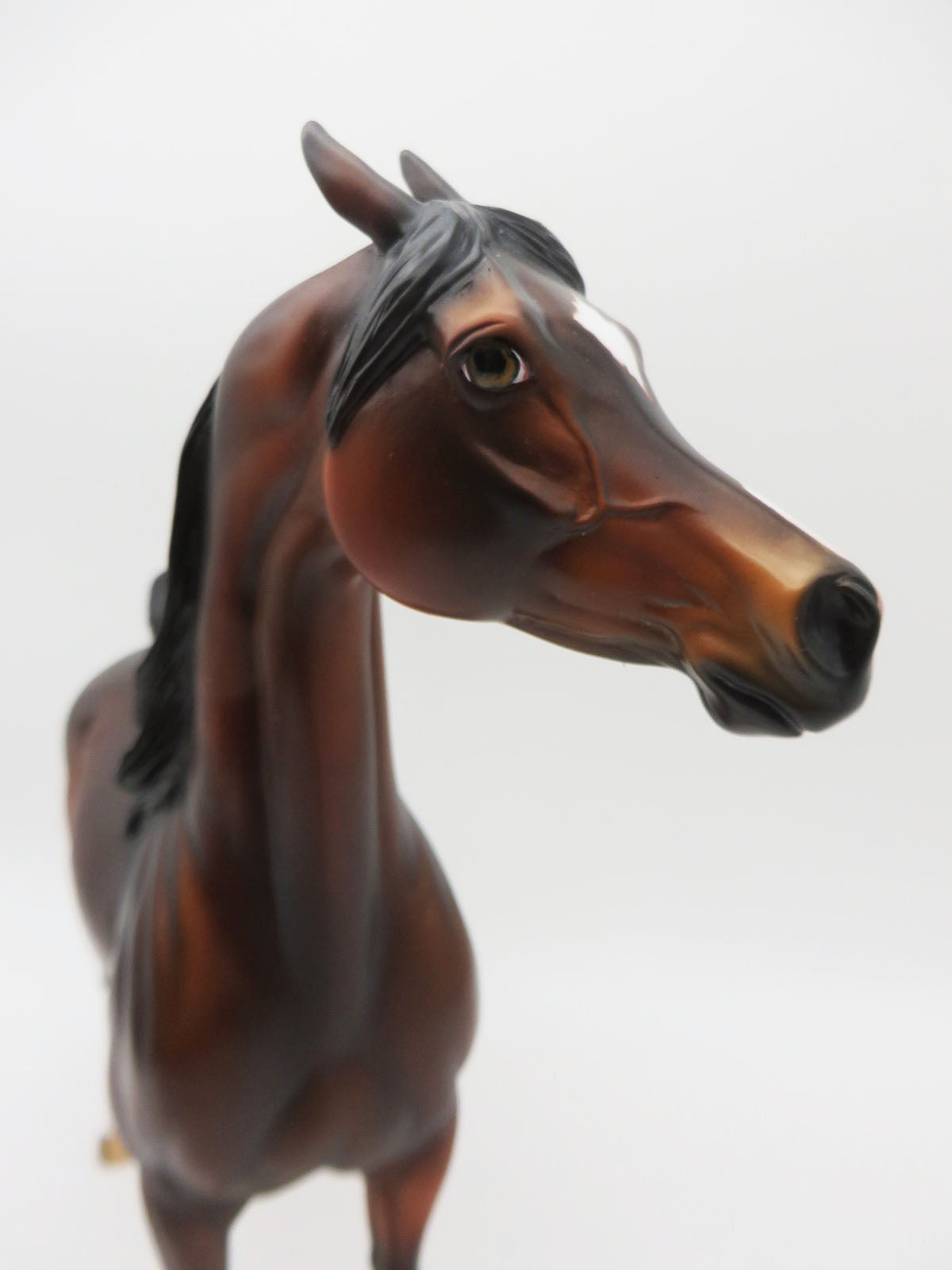 Pip - LE 30 - Dapple Bay Custom Arabian By Julie Keim - Classic Literature Series 2023 - CL23
