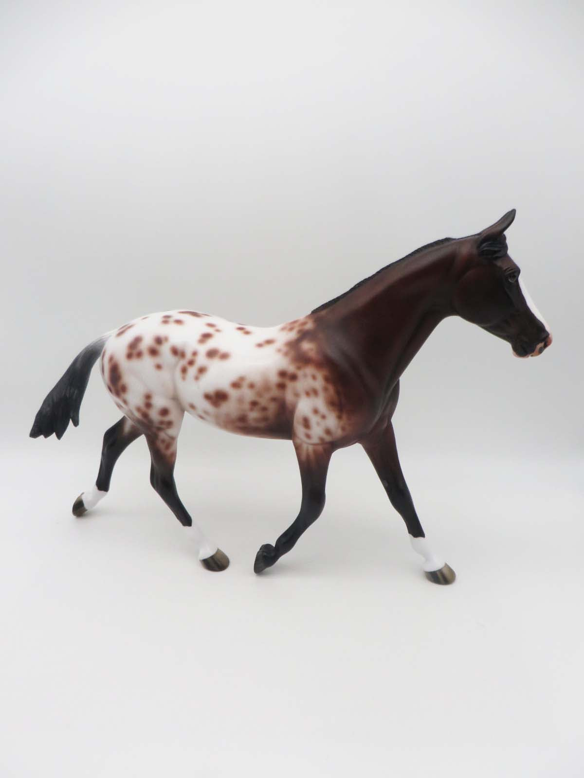 Piper - OOAK - Bay Appaloosa Palouse By Jess Hamill - SHCF23