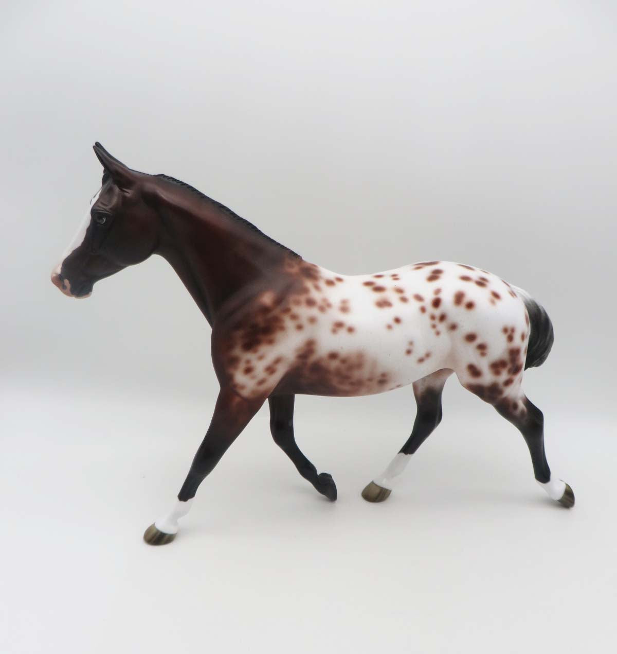 Piper - OOAK - Bay Appaloosa Palouse By Jess Hamill - SHCF23