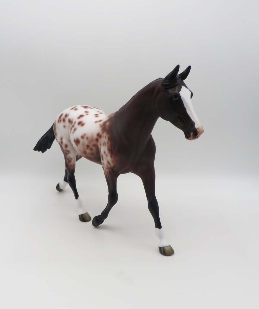 Piper - OOAK - Bay Appaloosa Palouse By Jess Hamill - SHCF23