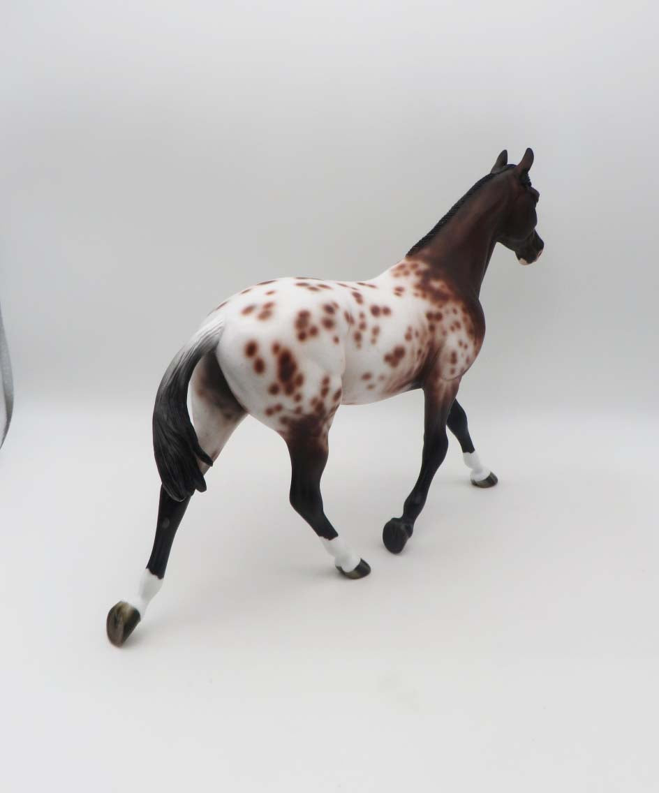 Piper - OOAK - Bay Appaloosa Palouse By Jess Hamill - SHCF23