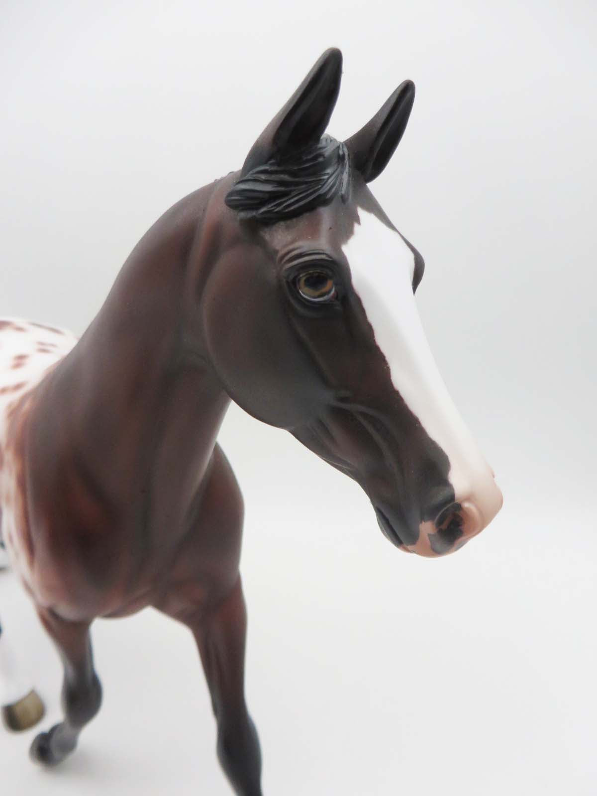 Piper - OOAK - Bay Appaloosa Palouse By Jess Hamill - SHCF23