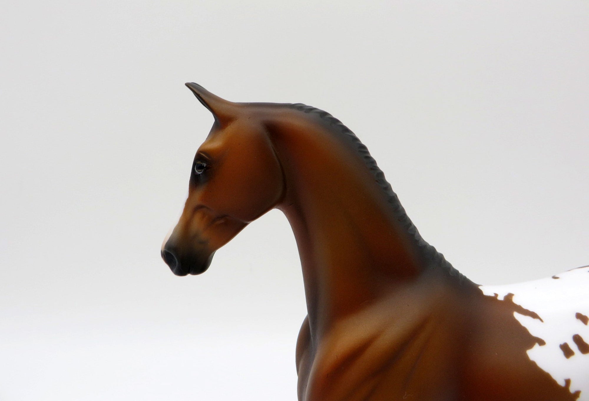 Plath-OOAK Bay Appaloosa Saddlebred Pebbles  Painted By Ellen Robbins EQ21