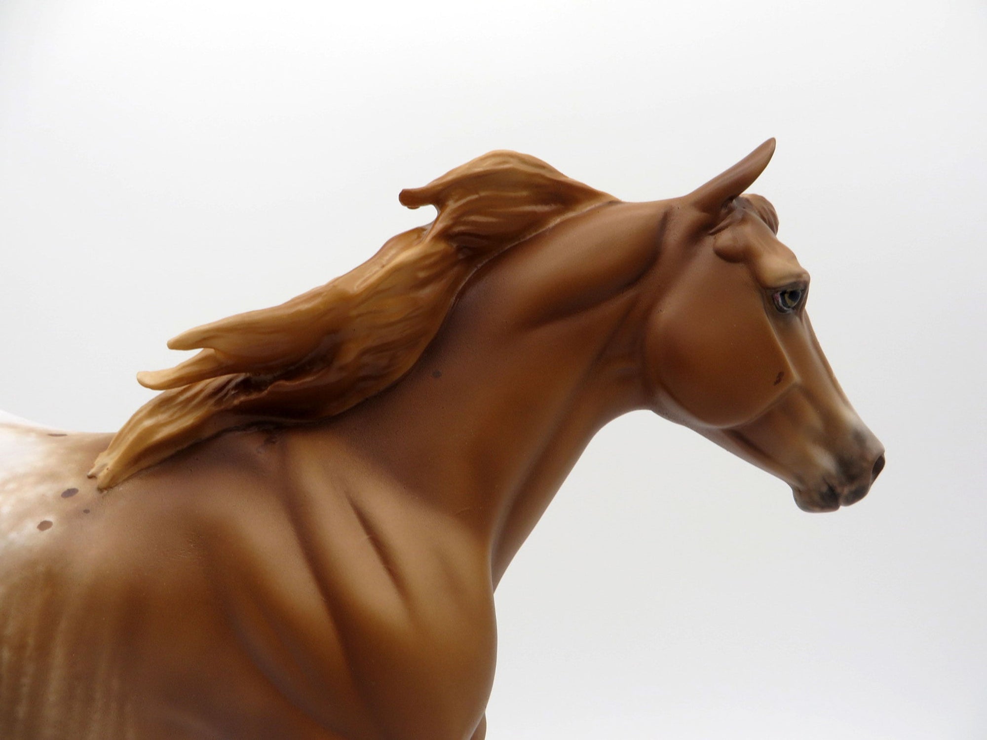 Plers-OOAK Chestnut Appaloosa Running Stock Horse 5/17/21