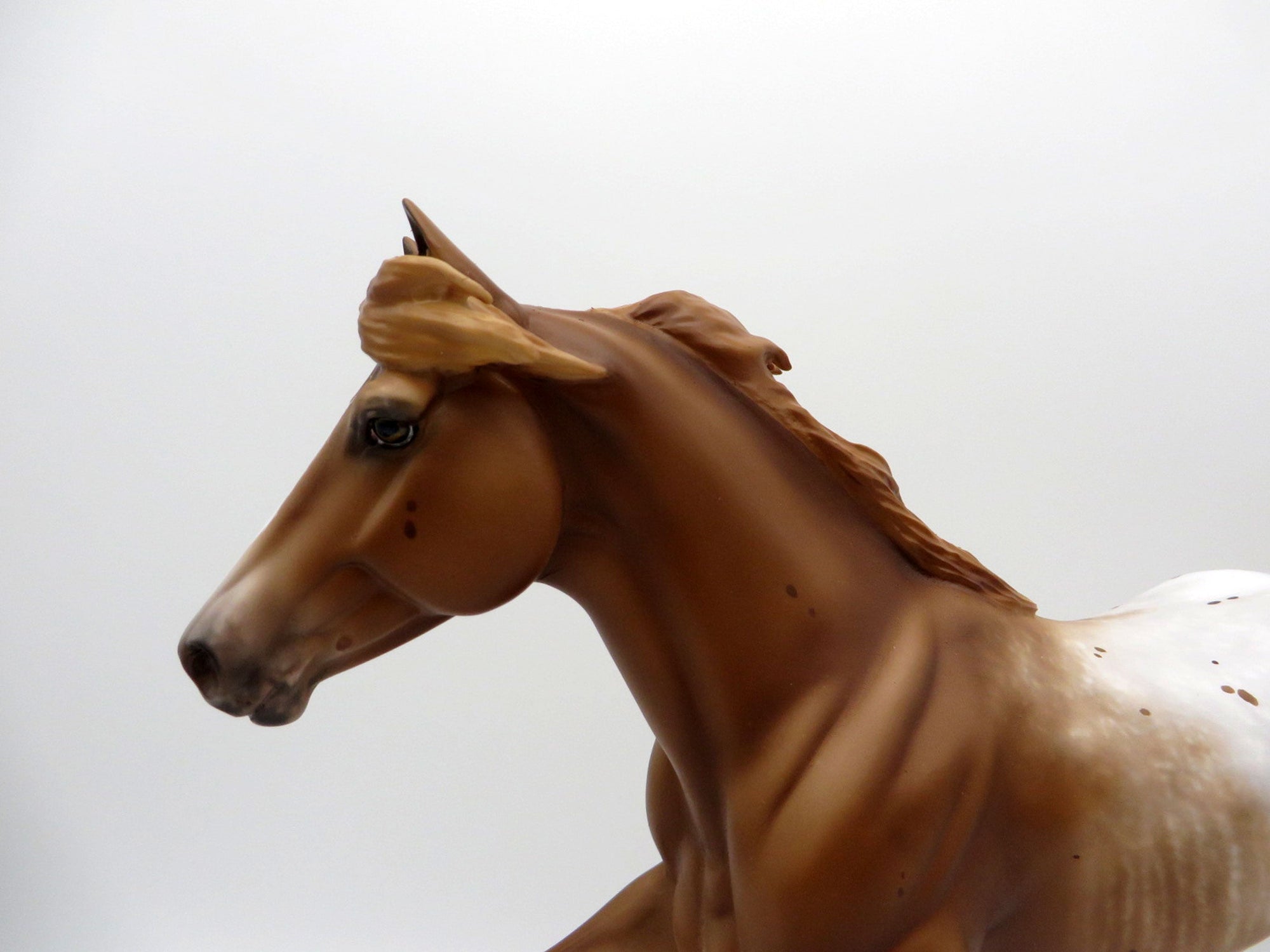 Plers-OOAK Chestnut Appaloosa Running Stock Horse 5/17/21