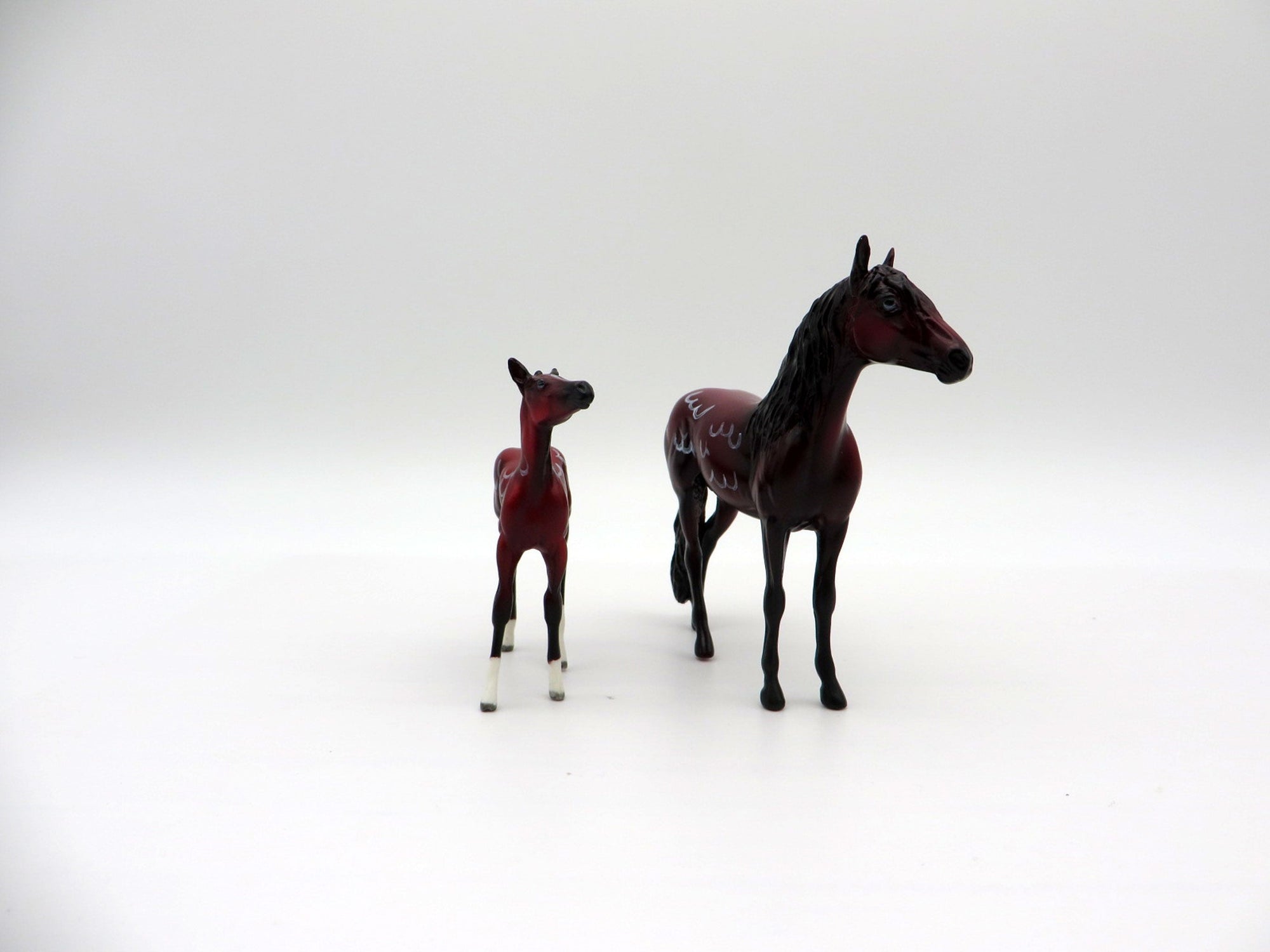 Pleuro and Forskalii-OOAK Chip Andalusian and Foal Deco Sea Slug Painted By Ellen Robbins 7/16/21