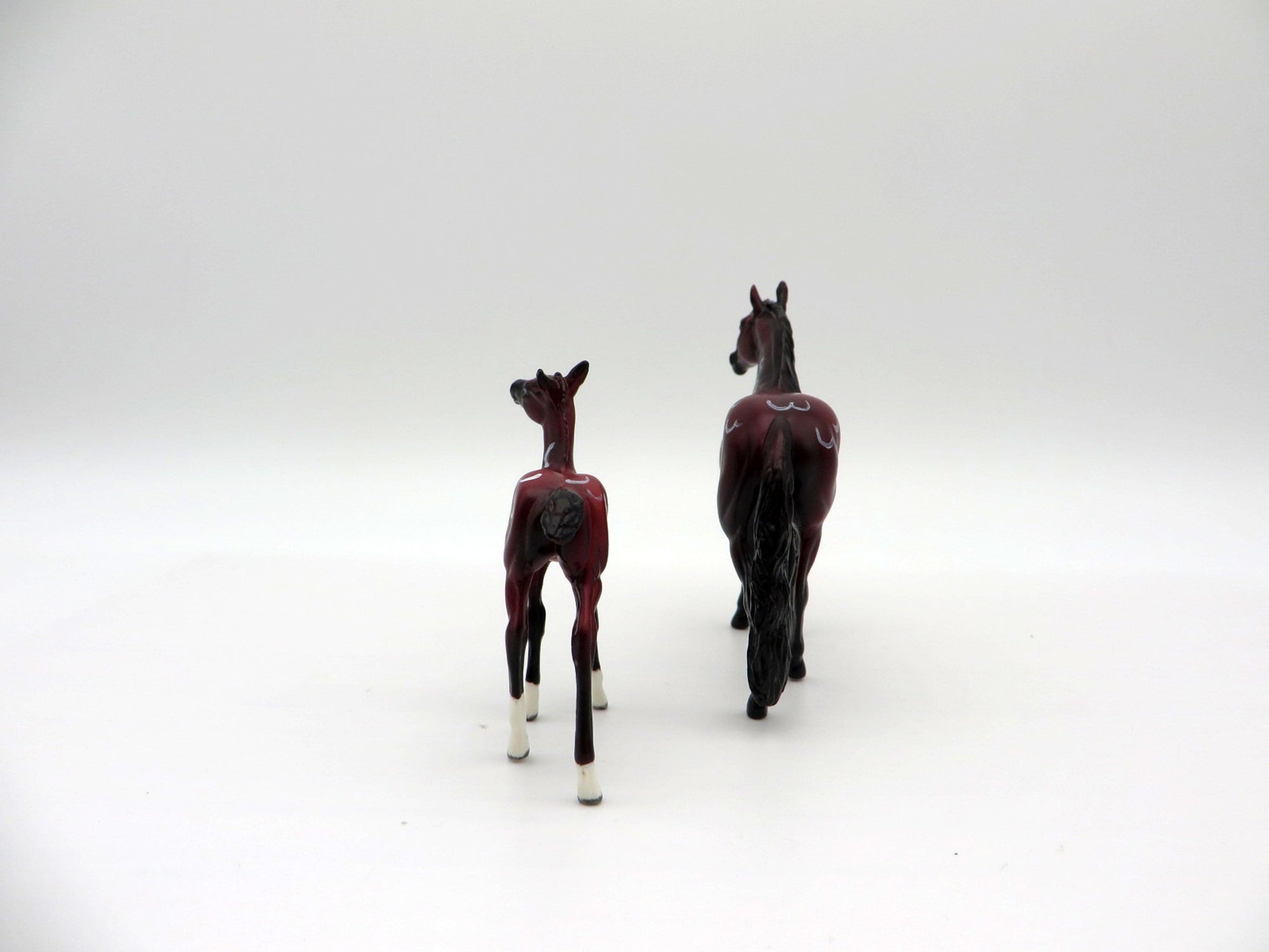 Pleuro and Forskalii-OOAK Chip Andalusian and Foal Deco Sea Slug Painted By Ellen Robbins 7/16/21