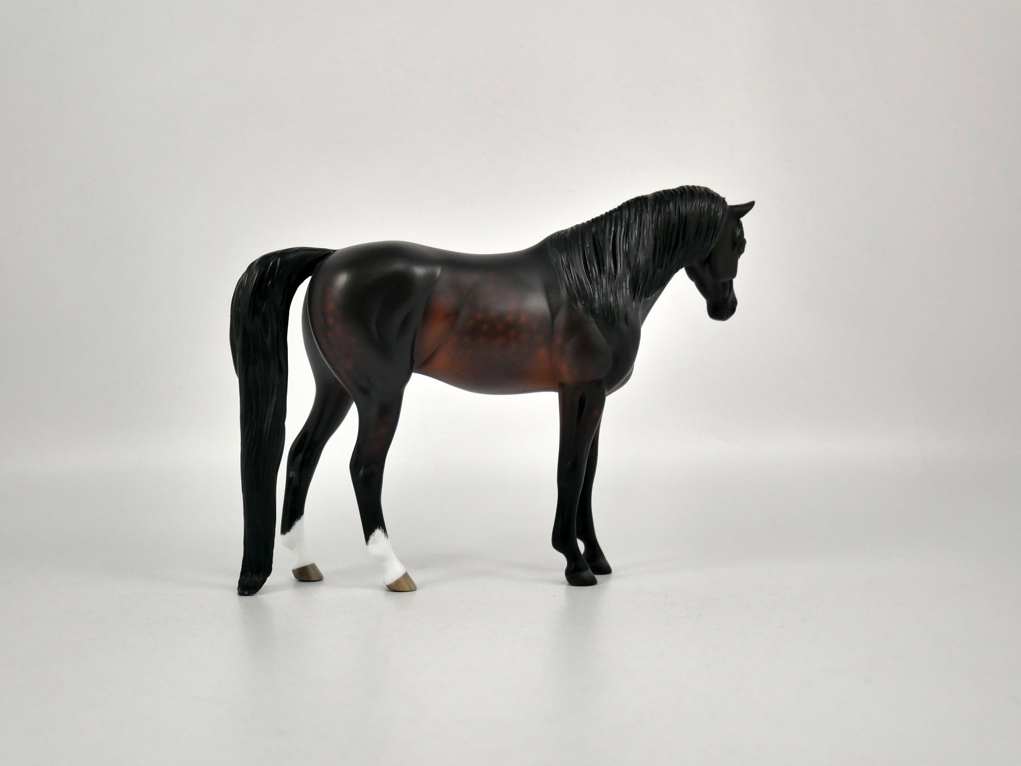 Plum Pebbles Bay Arabian Pebbles Sheryl Leisure 12/21/20