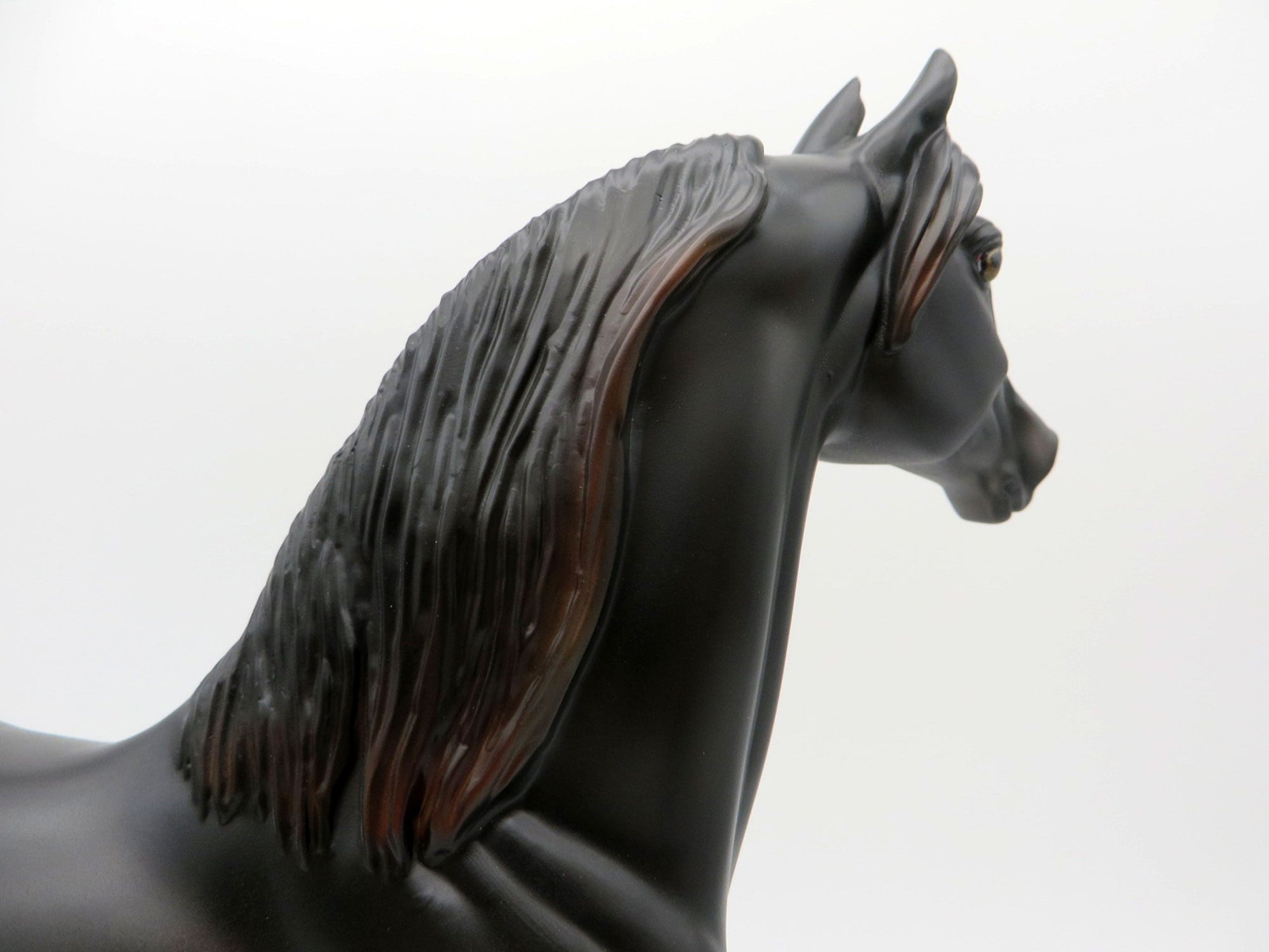 Poe-OOAK Black  Pinto Morgan Painted By Ellen Robbins EQ 2021