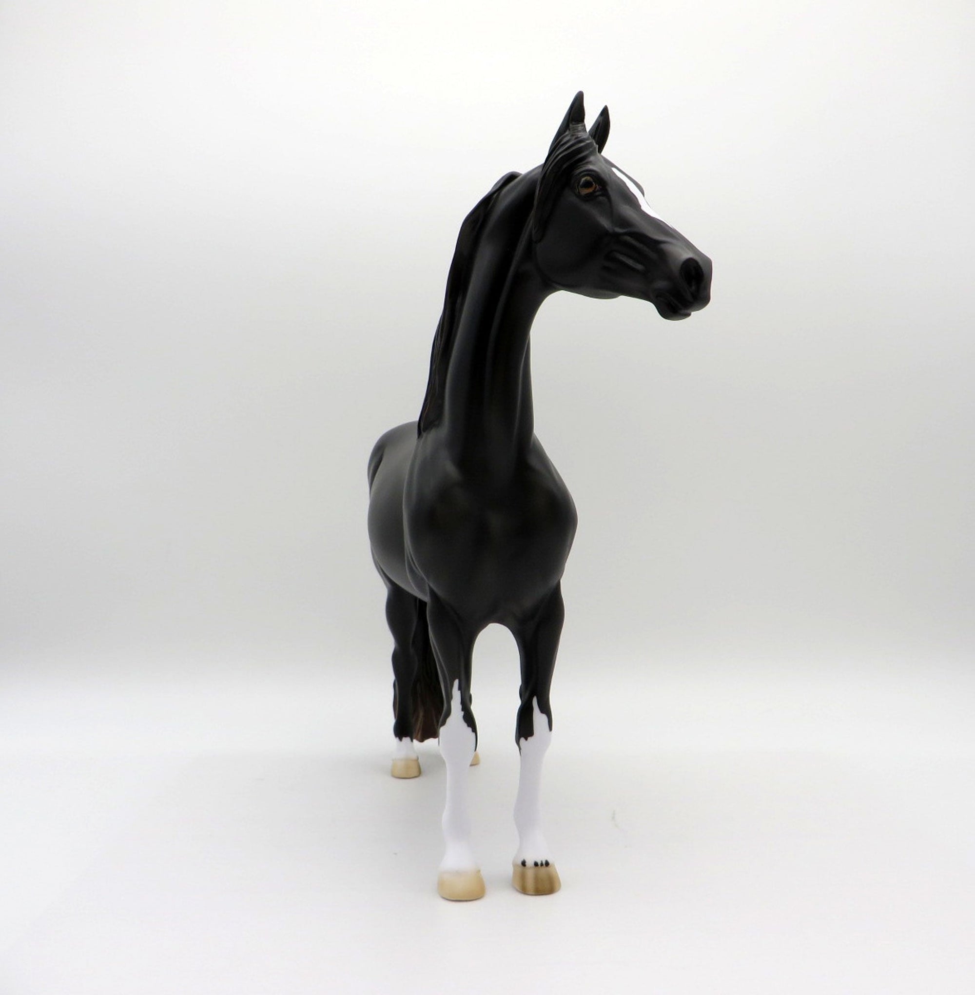 Poe-OOAK Black  Pinto Morgan Painted By Ellen Robbins EQ 2021