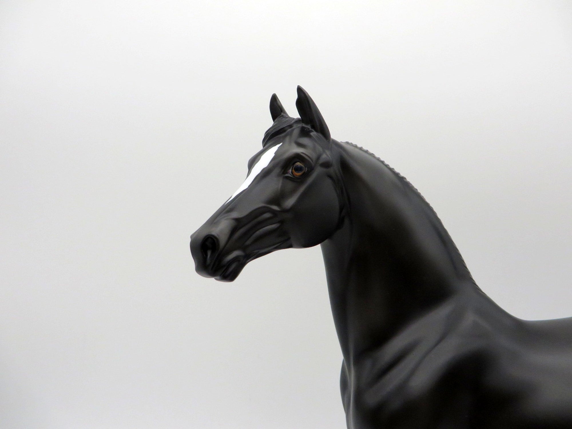 Poe-OOAK Black  Pinto Morgan Painted By Ellen Robbins EQ 2021