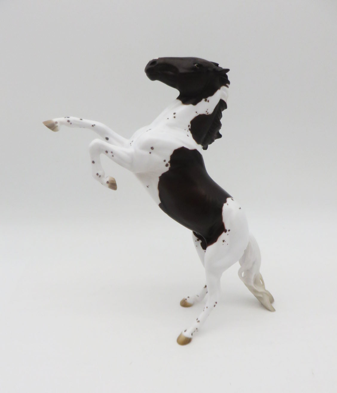 Pointer-OOAK Liver Chestnut "Pointer" Rearing Pebbles By Jess Hamill P&C 23