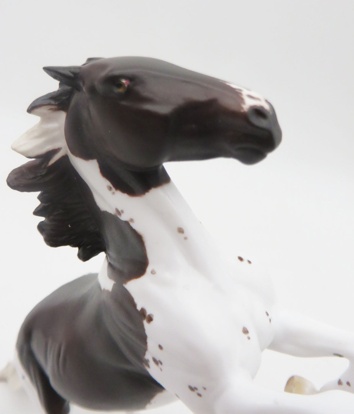 Pointer-OOAK Liver Chestnut &quot;Pointer&quot; Rearing Pebbles By Jess Hamill P&amp;C 23