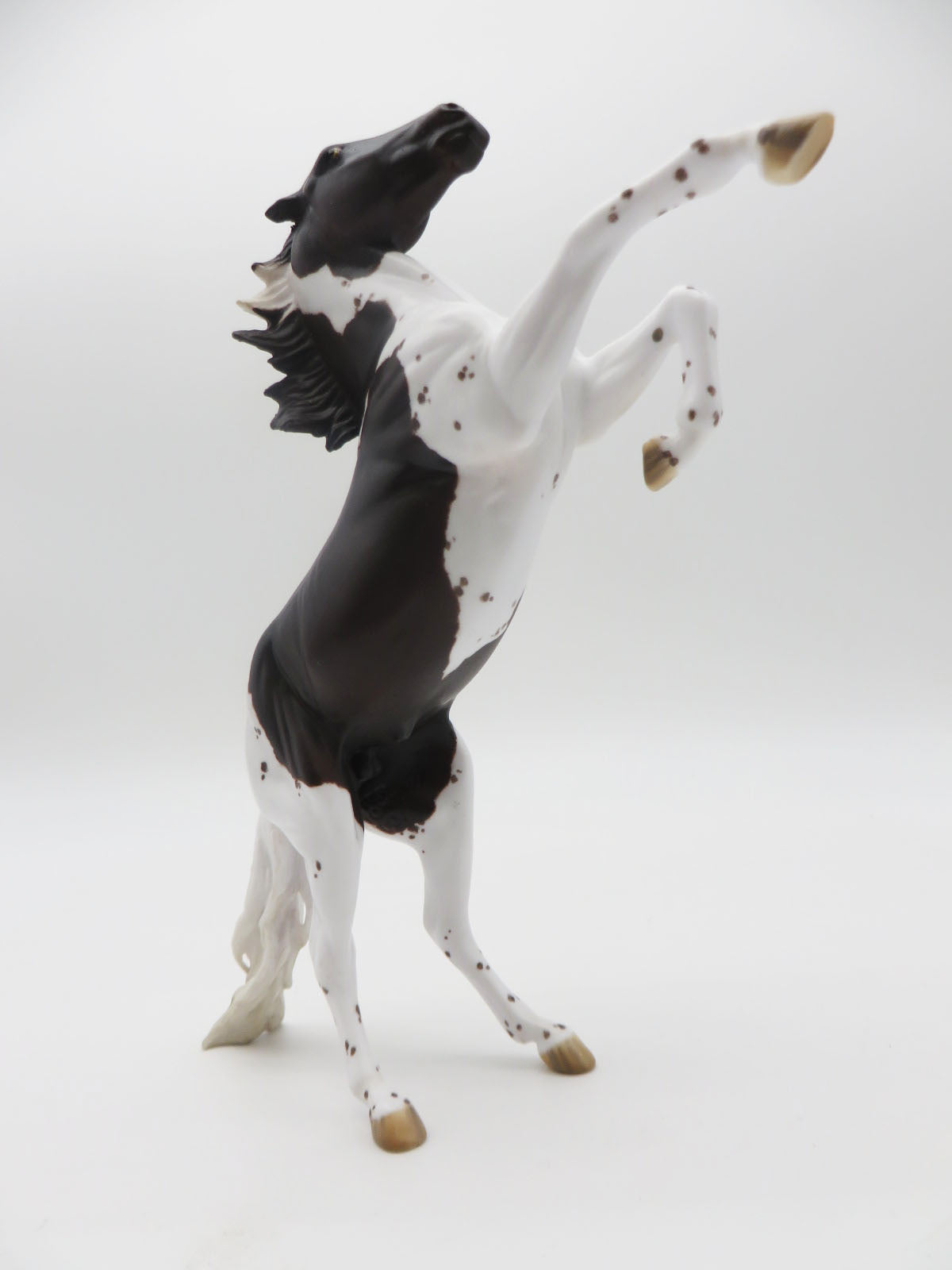 Pointer-OOAK Liver Chestnut &quot;Pointer&quot; Rearing Pebbles By Jess Hamill P&amp;C 23