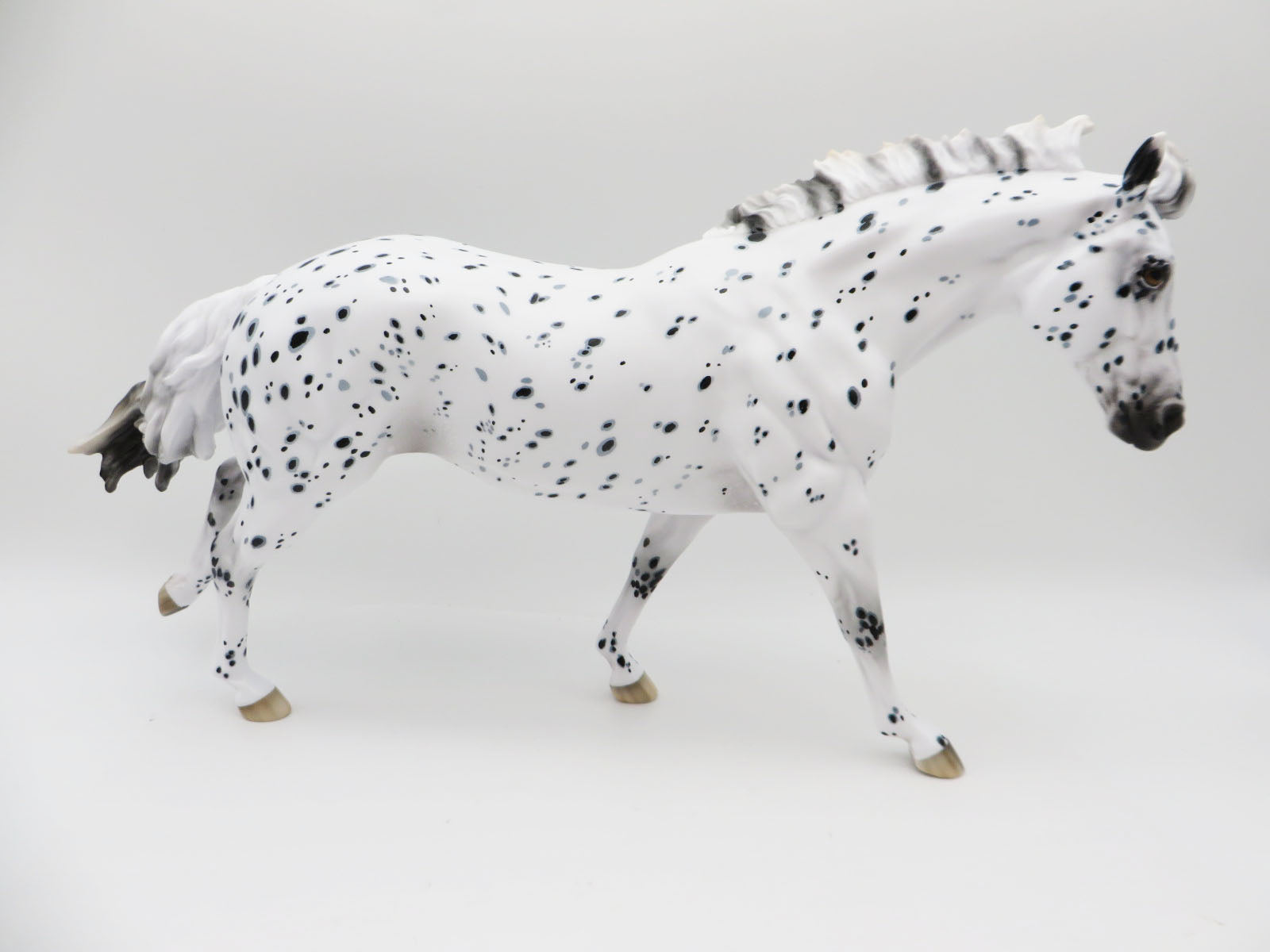 Polar Vortex - OOAK - Leopard Appaloosa Remington by Ellen Robbins - CT22