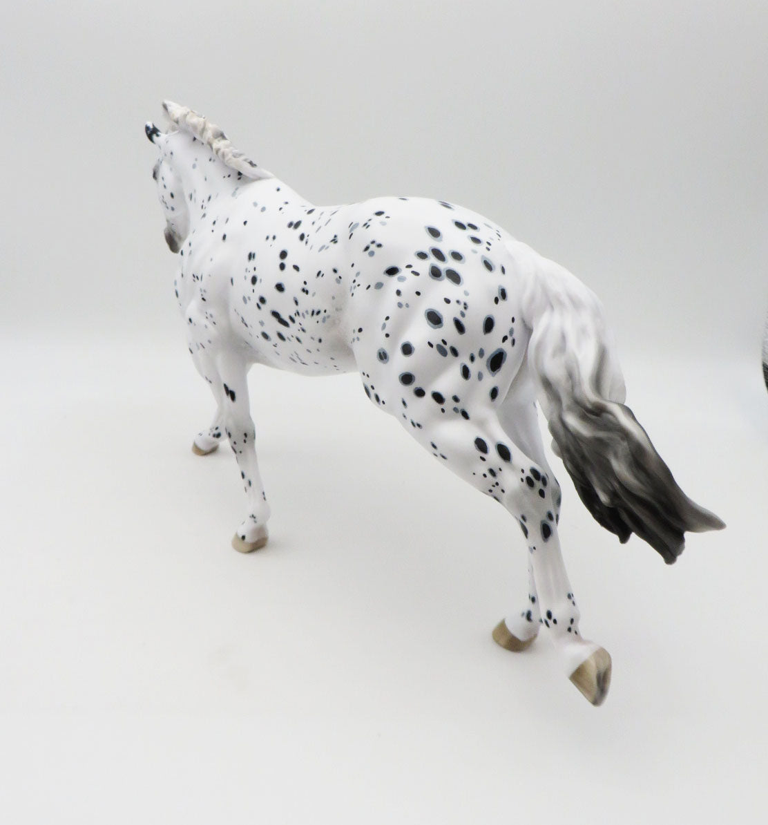 Polar Vortex - OOAK - Leopard Appaloosa Remington by Ellen Robbins - CT22