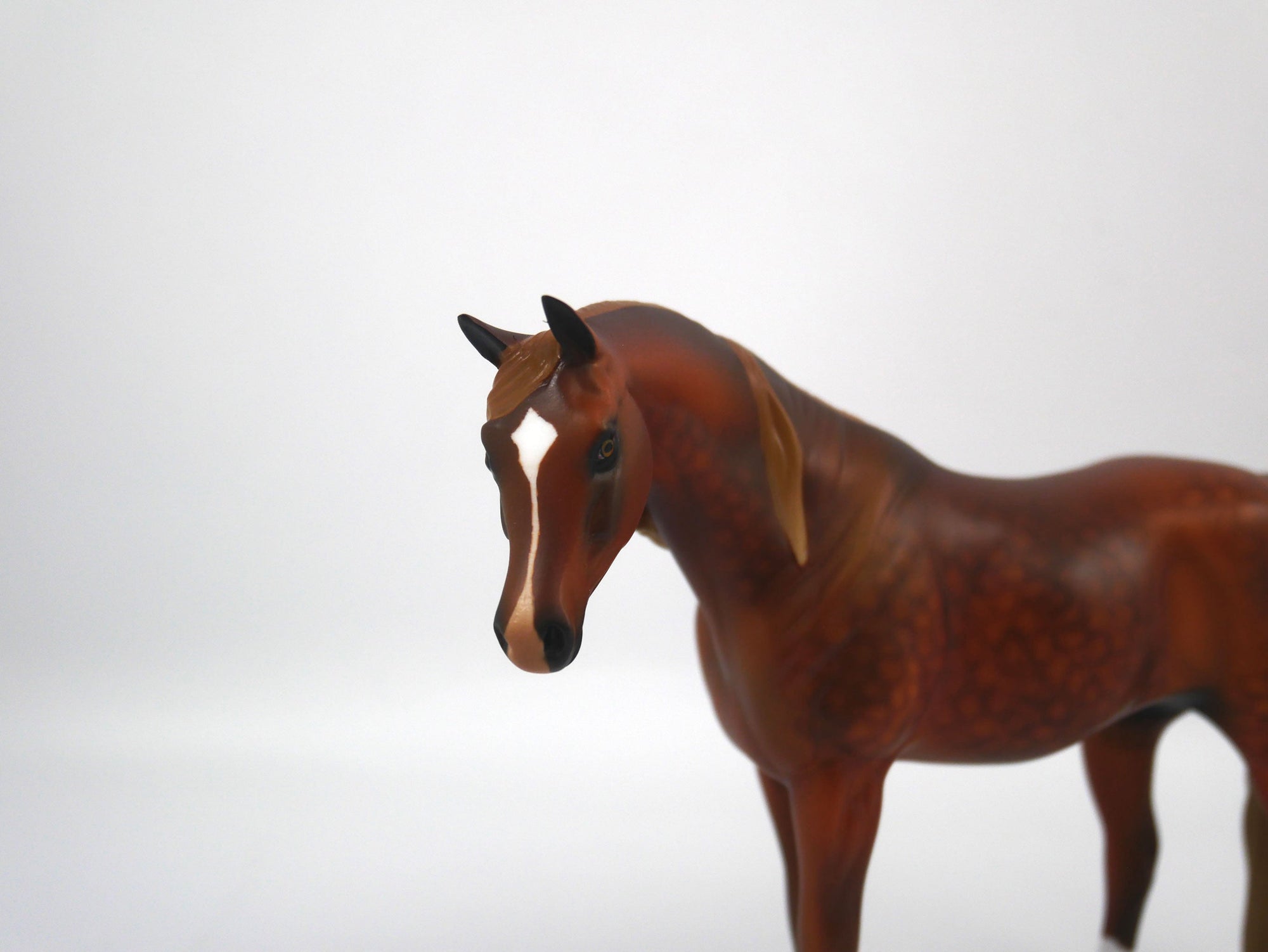 POM POM-OOAK Dapple Chestnut Arabian Pebbles  SB21