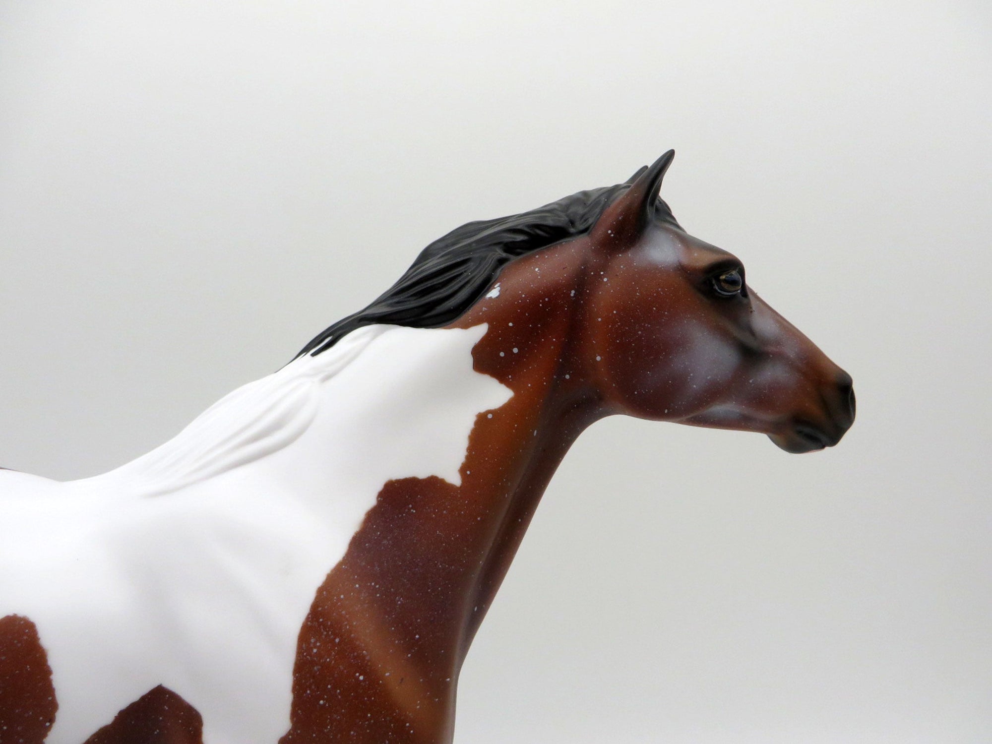 Pop-OOAK Bay Roan Pinto Mustang Painted by Audrey Dixon EQ 2021