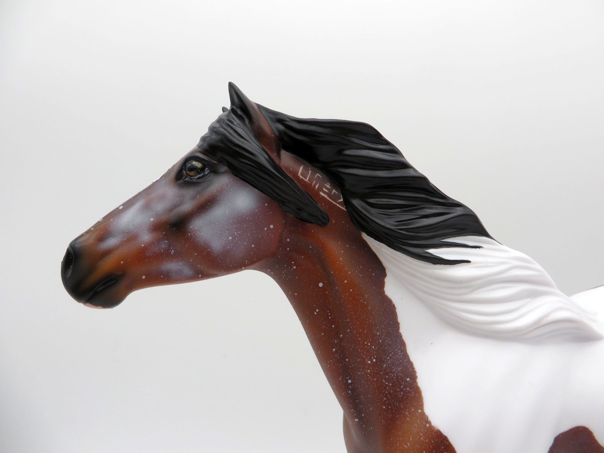 Pop-OOAK Bay Roan Pinto Mustang Painted by Audrey Dixon EQ 2021