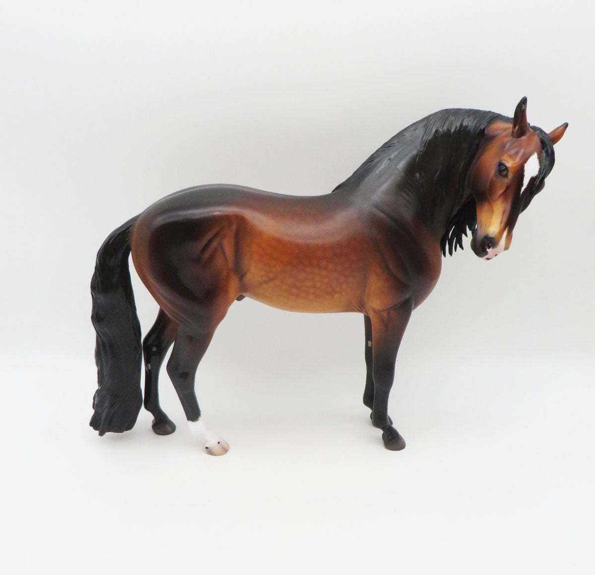 Porcaro - OOAK - Dapple Bay Andalusian By Caroline Boydston BEST OFFER 11/07/22