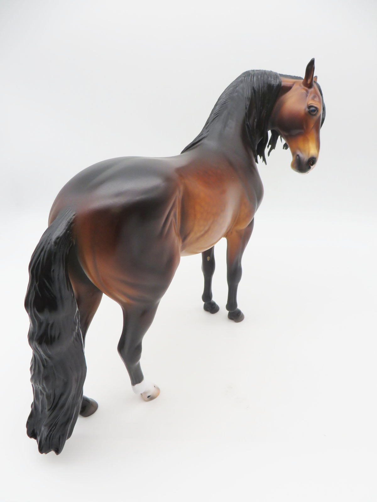 Porcaro - OOAK - Dapple Bay Andalusian By Caroline Boydston BEST OFFER 11/07/22
