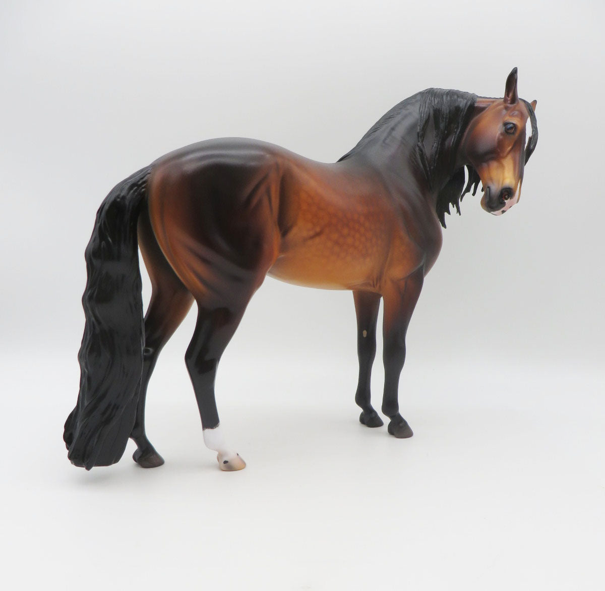 Porcaro - OOAK - Dapple Bay Andalusian By Caroline Boydston BEST OFFER 11/07/22