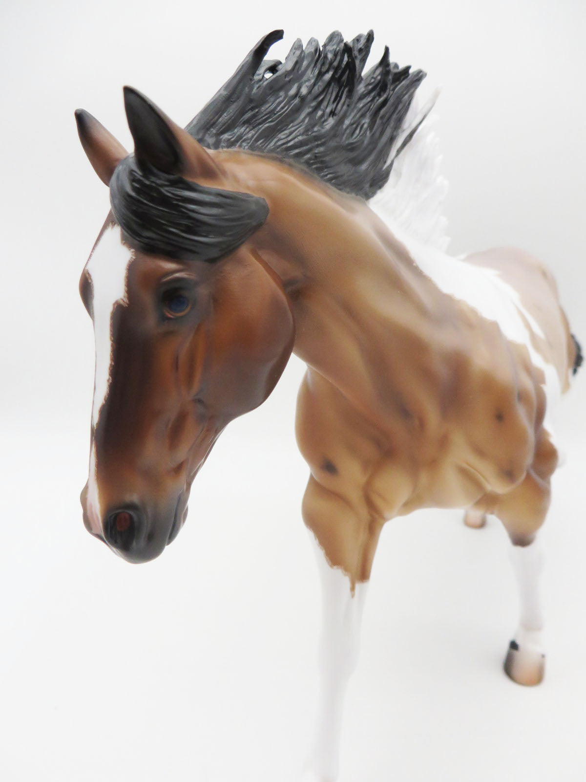 Powell - OOAK Bay Roan Remington By Caroline Boydston 11/28/22