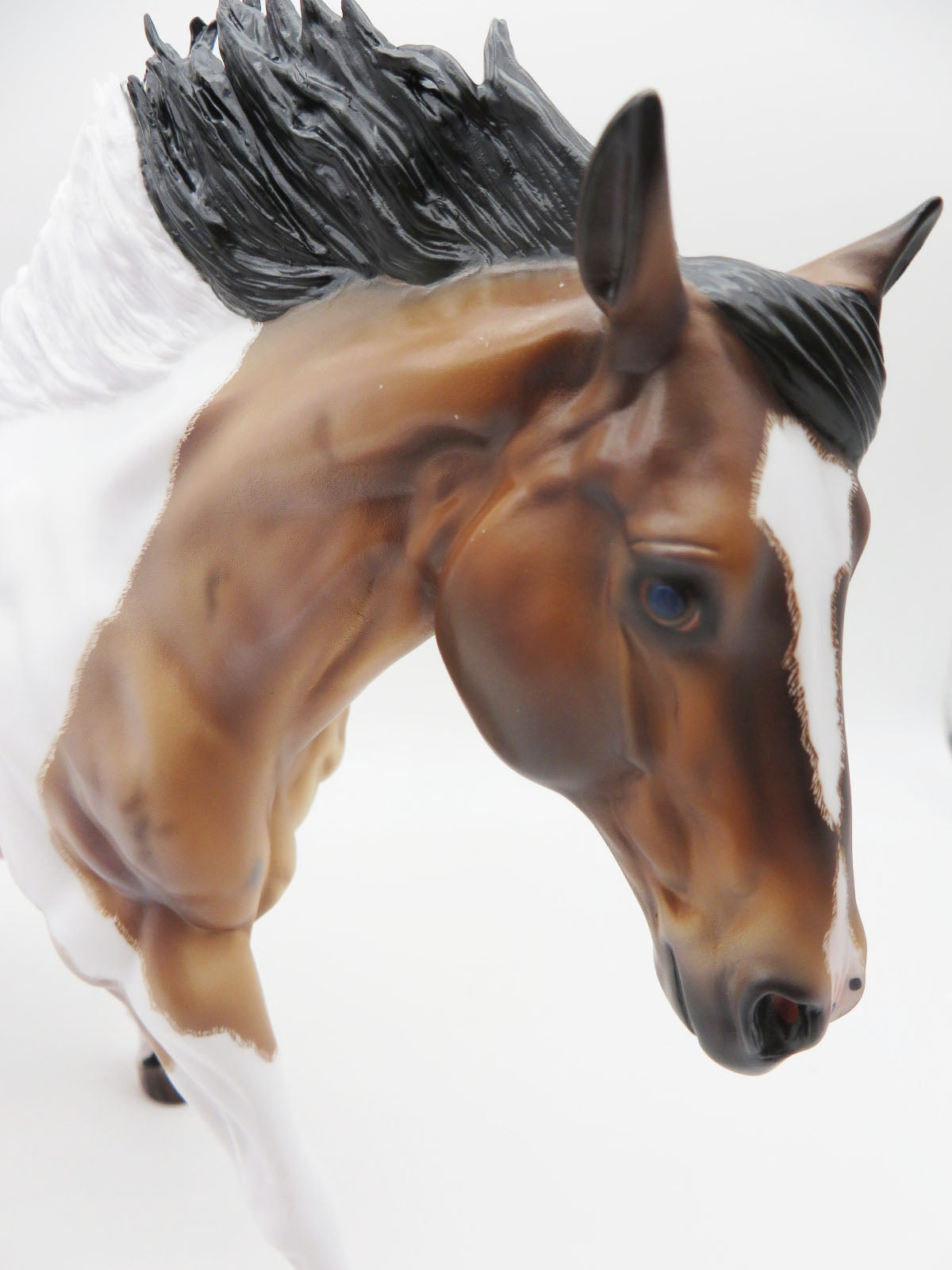 Powell - OOAK Bay Roan Remington By Caroline Boydston 11/28/22