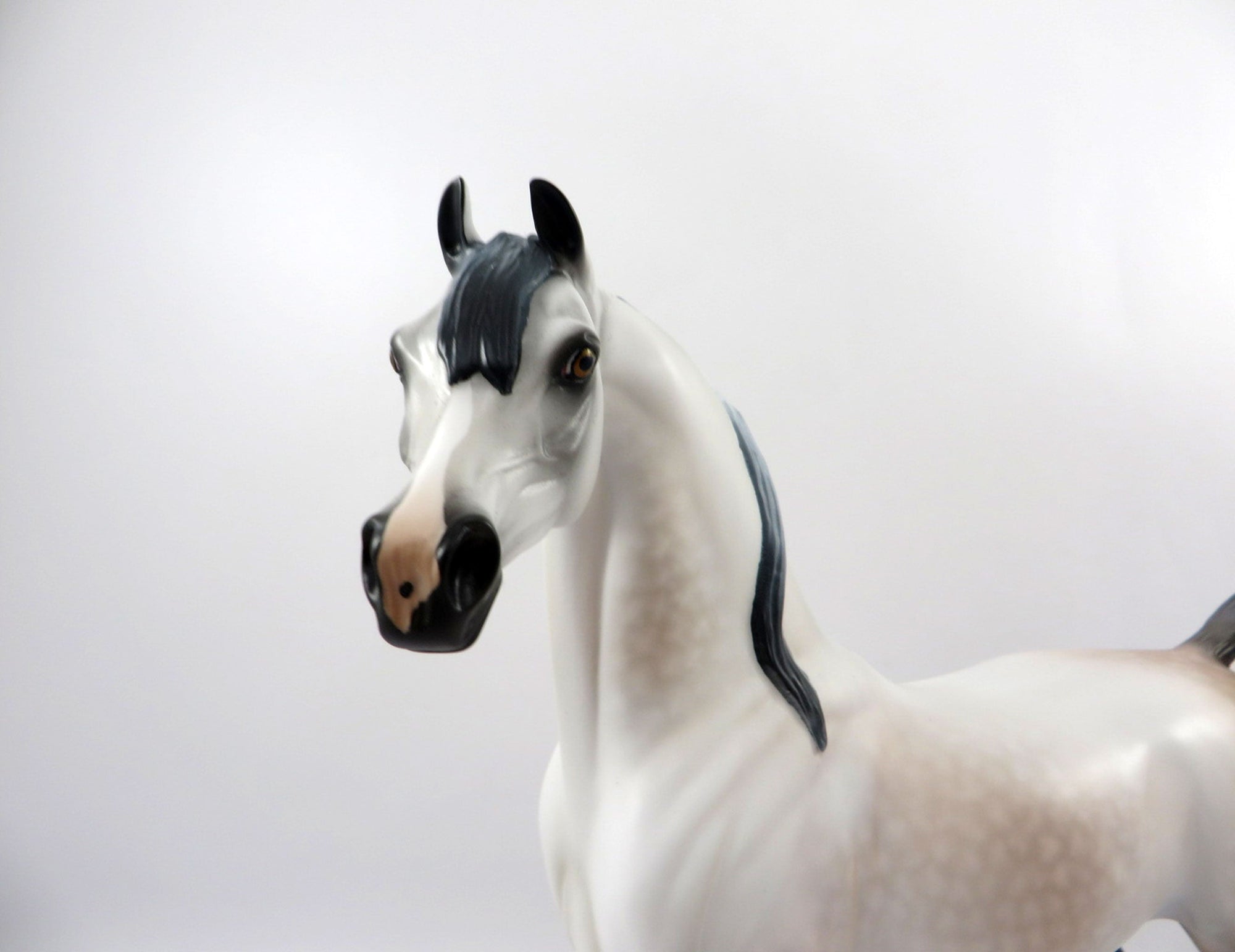 Prize Fighter-OOAK Dapple Rose Grey Arabian Bingo 3/21