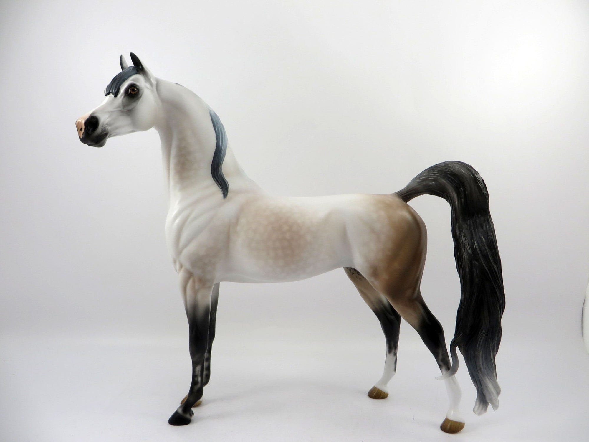 Prize Fighter-OOAK Dapple Rose Grey Arabian Bingo 3/21