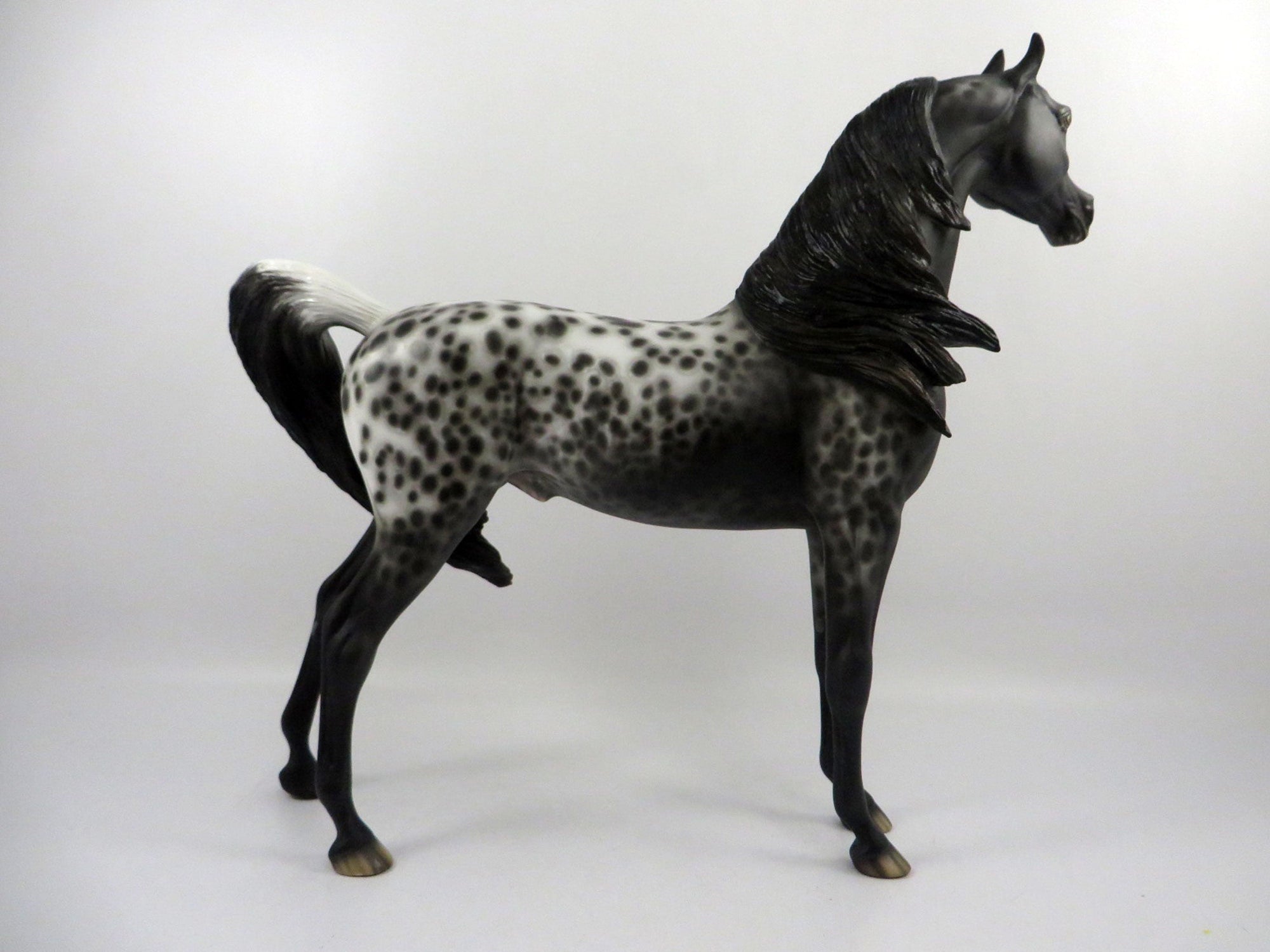 Psychwave-OOAK Loud Appaloosa Painted By Sheryl Leisure   2/25/21