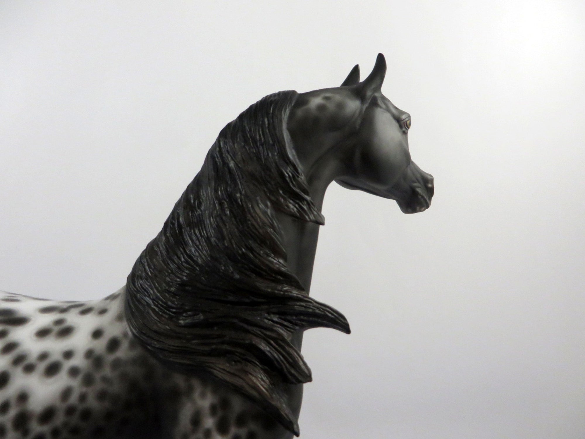 Psychwave-OOAK Loud Appaloosa Painted By Sheryl Leisure   2/25/21